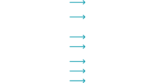 Treid_Diagnostico_Acciones